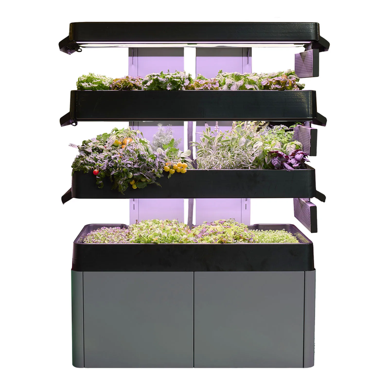 Les Verts Terrace Pro (3-tier) - LVL-IG-003