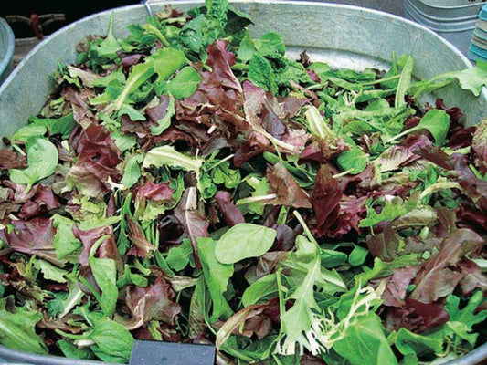 Lettuce Mesclun Mix - 991A