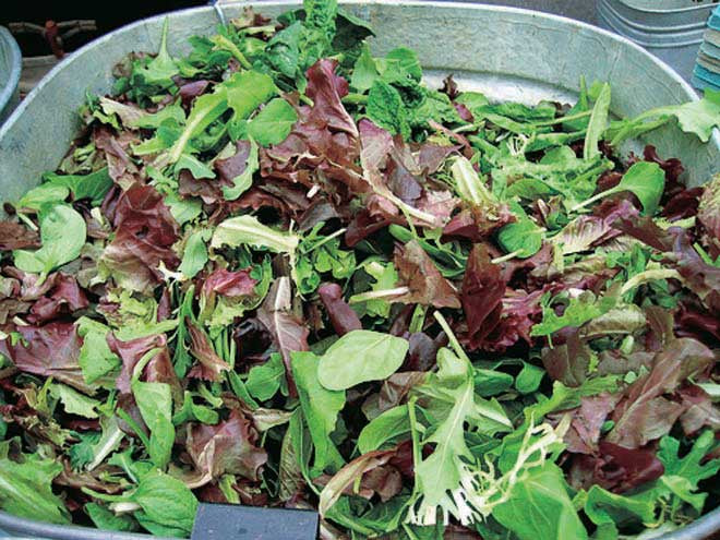 Lettuce Mesclun Mix - 991A