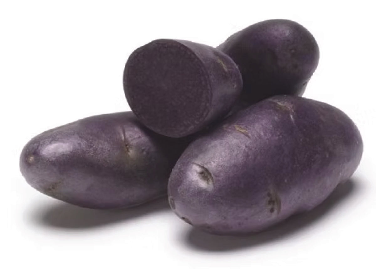 Seed Potatoes Purple Pelisse
