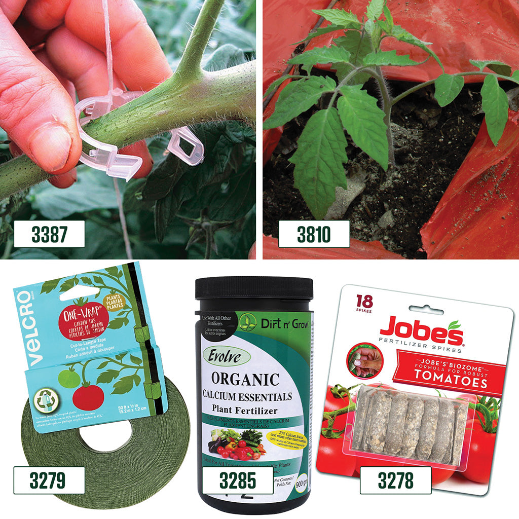 Tomato Grower's Bundle