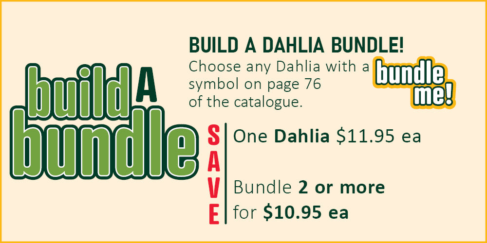 Build A Dahlia Bundle