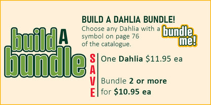 Build A Dahlia Bundle