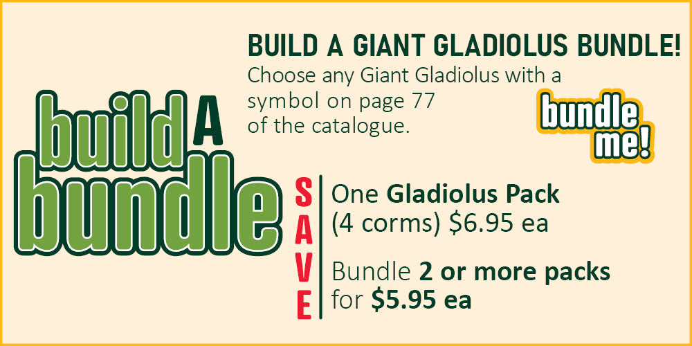 Build A Giant Gladiola Bundle