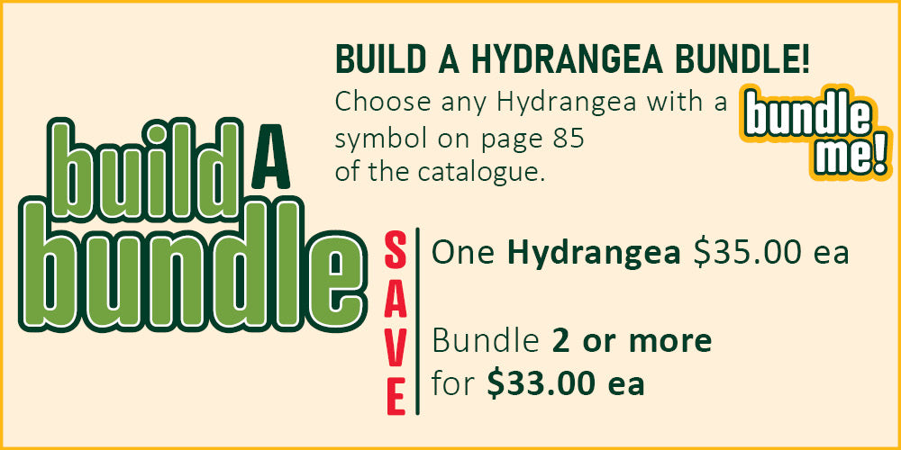Build A Hydrangea Bundle