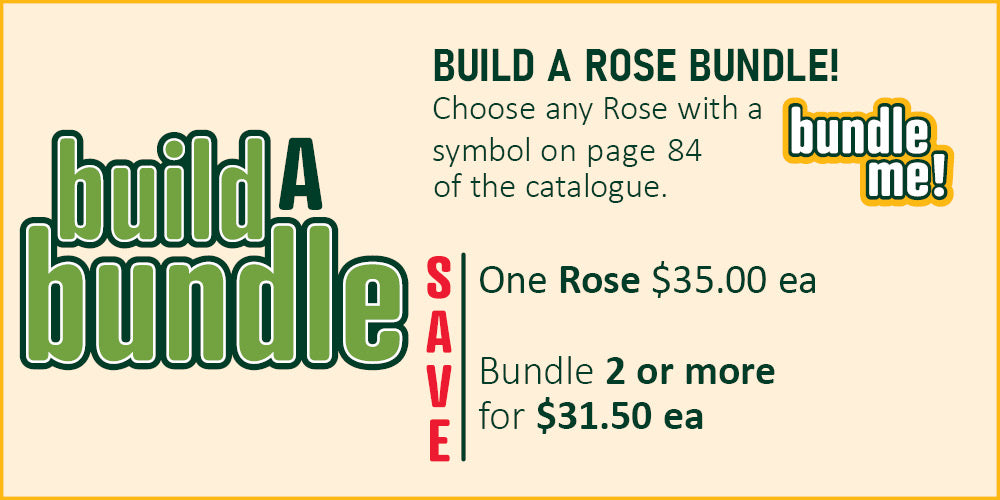 Build A Rose Bundle