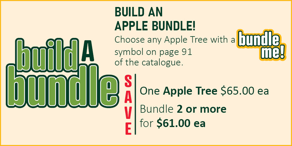 Build An Apple Bundle