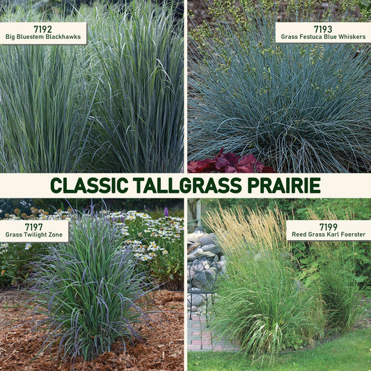 Classic Tallgrass Prairie
