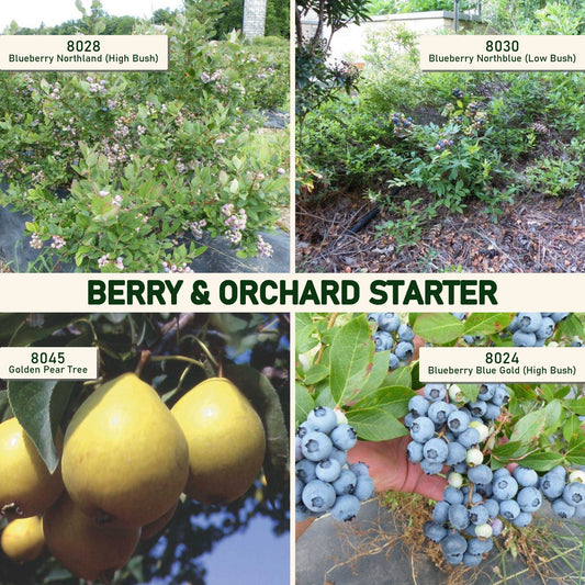 Berry & Orchard Starter