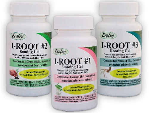 Stimroot Rooting Hormone Gel for Cuttings | T&T Seeds