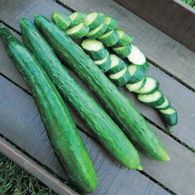 English Cucumbers - SunFed®