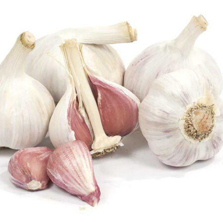 Fall Garlic Music