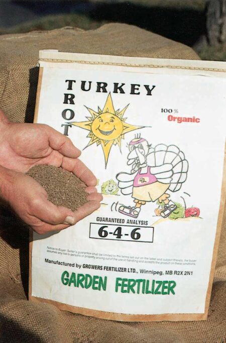 Turkey Trot
