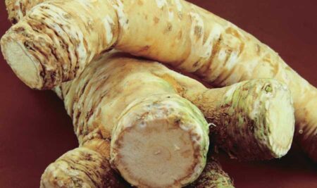 Horseradish